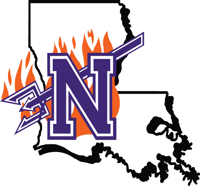 Northwestern State Demons 2000-2007 Primary Logo DIY iron on transfer (heat transfer)